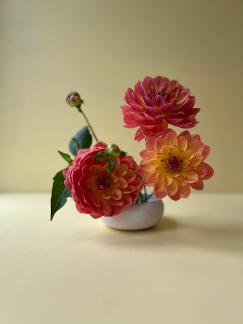 Pam Howden